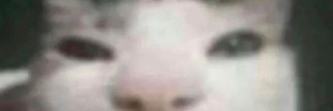 Susimaus_14's profile banner image
