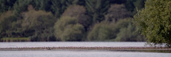 AsAndWithNature Profile Banner