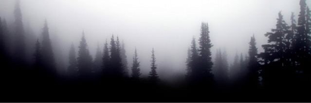 ElPolvi's profile banner image