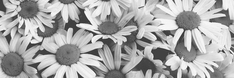 lorena_hz's profile banner image