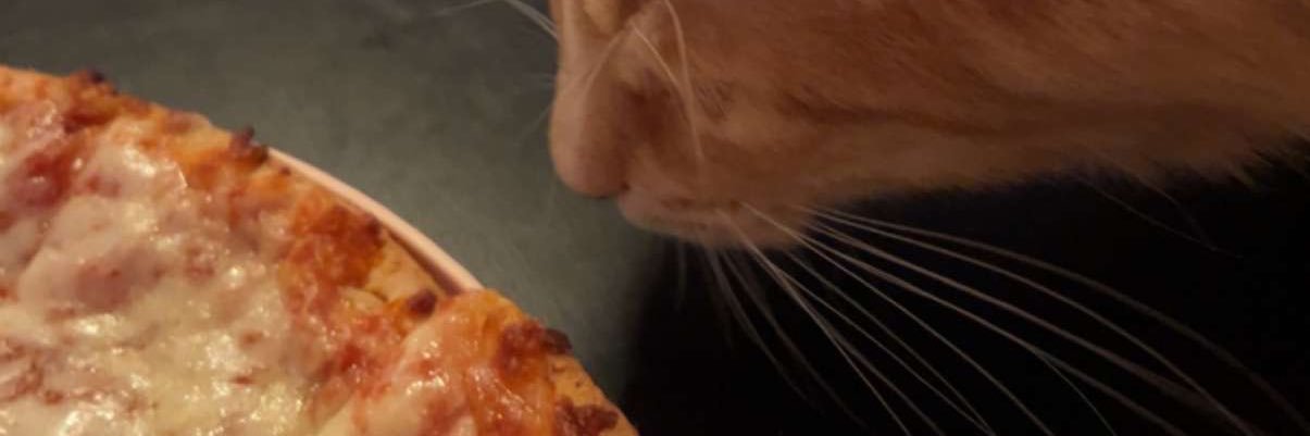ColleenBallinge's profile banner image