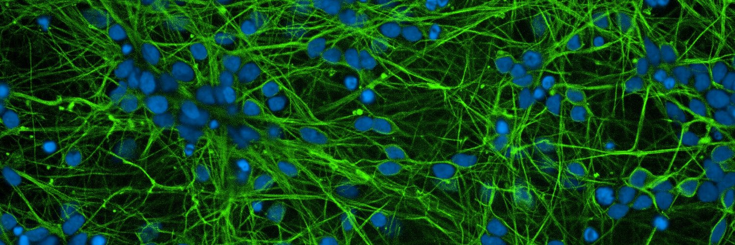 Tatyana Shelkovnikova Lab banner