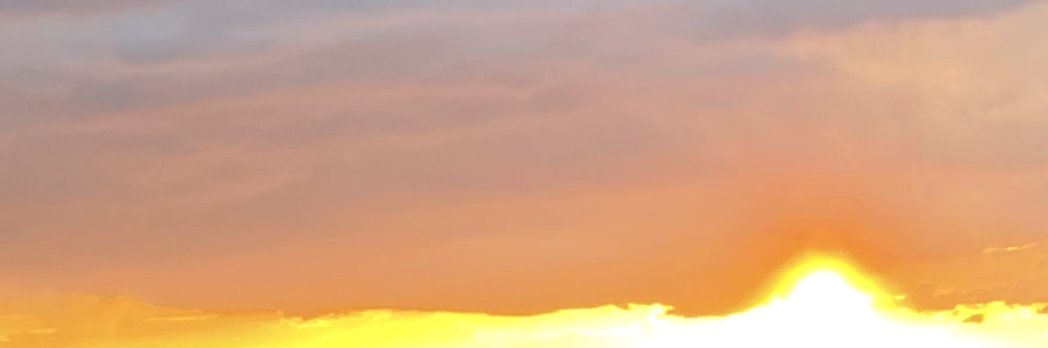 🍣 4/5 青プ 【あ44】 banner