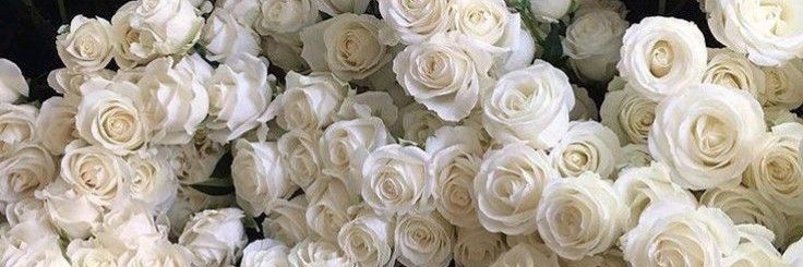 𝑆𝑒𝑟𝑎🌸 banner