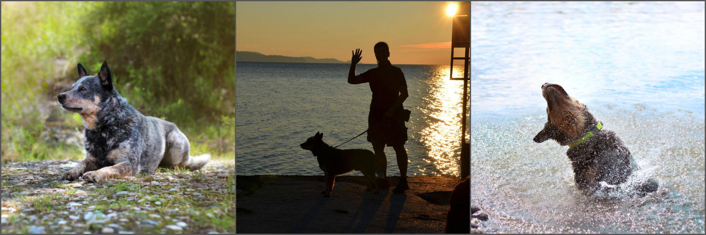 k94lif's profile banner image