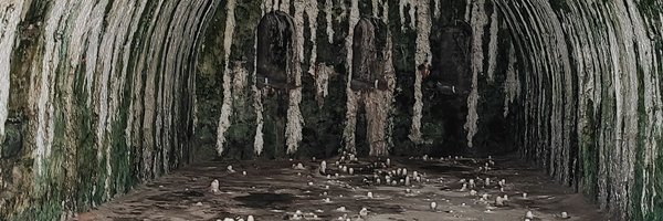 DarciaVzquez Profile Banner