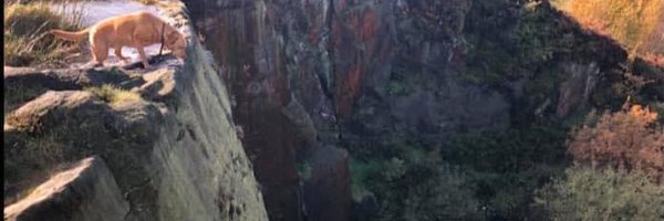 mancunianmark Profile Banner