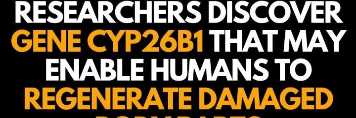 Nwigwe Stephen Chidi banner