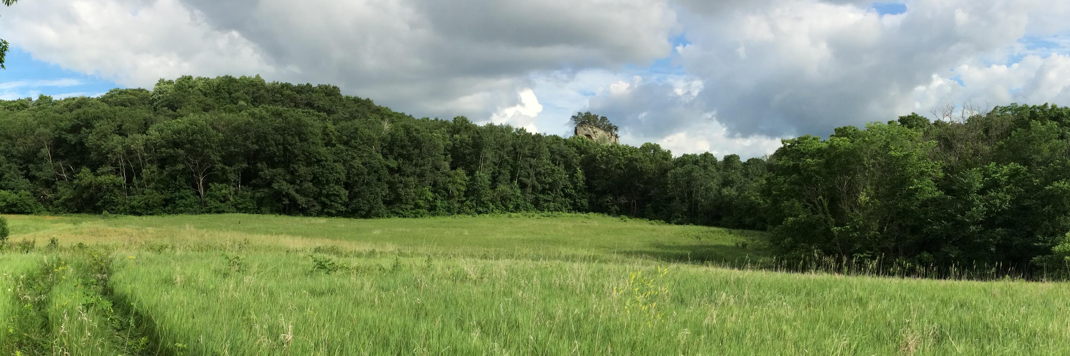 redbeanswisco banner