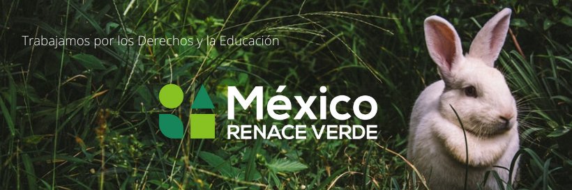 México Renace Verde A.C. banner