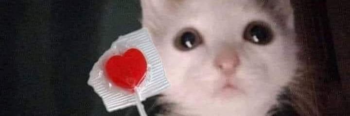 Miguel Laroto banner