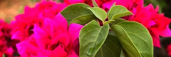 Ettytalks Profile Banner