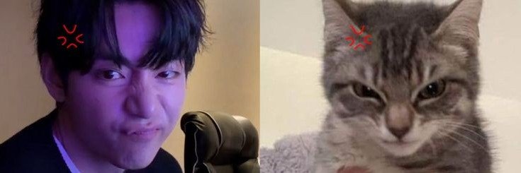 briigonzalezd's profile banner image