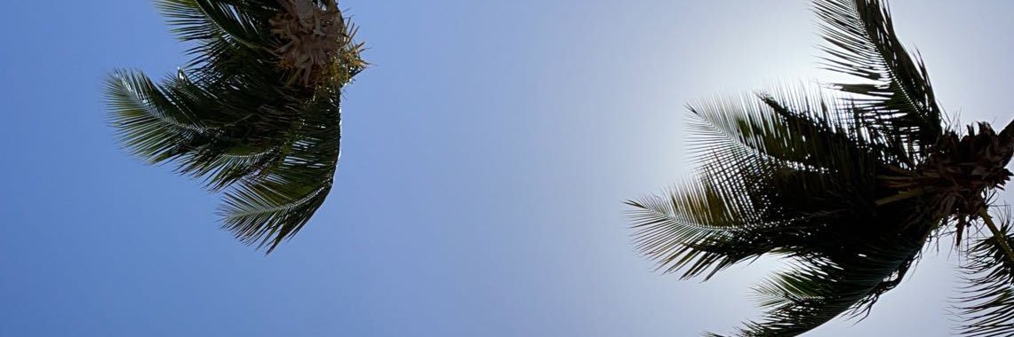 AttractiveAcid's profile banner image
