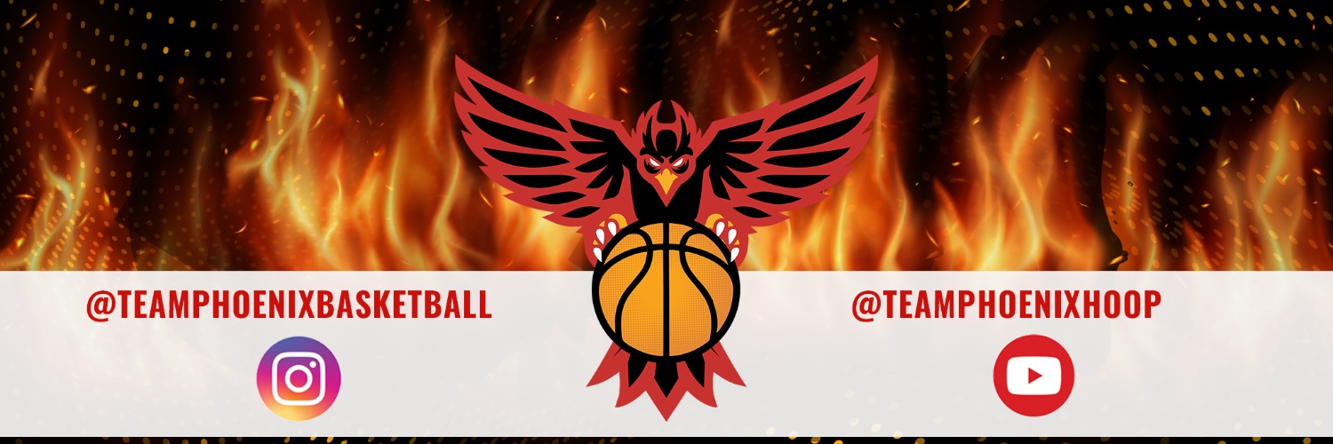 Team Phoenix banner