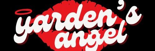 the_dsndt's profile banner image