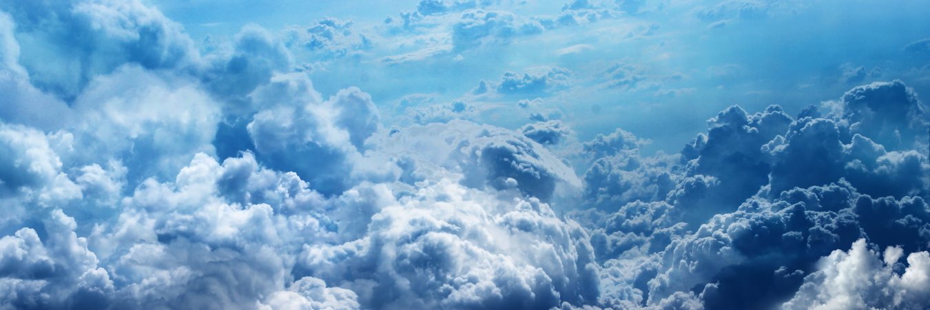narkobarunya's profile banner image