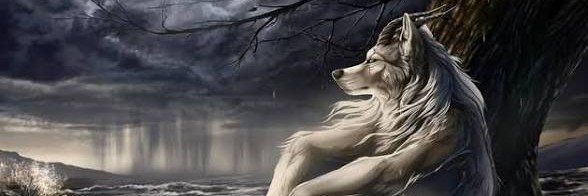 porn__adicted's profile banner image