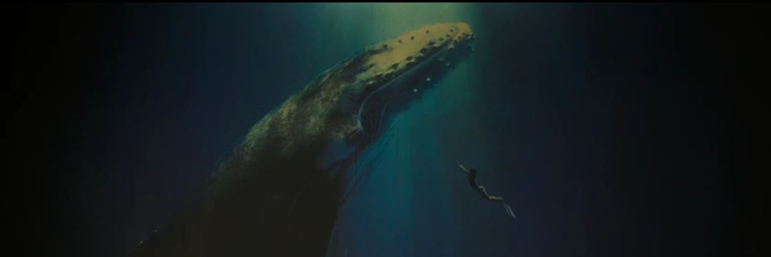 Unknown banner