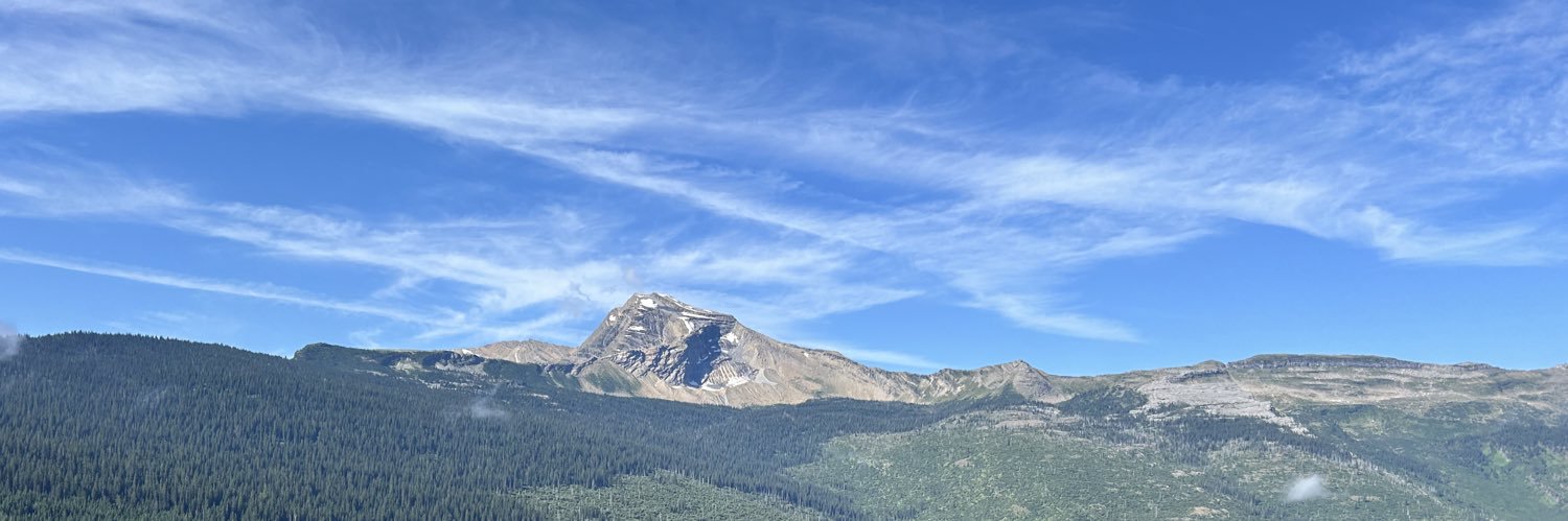 Mike Lammers ₿ banner