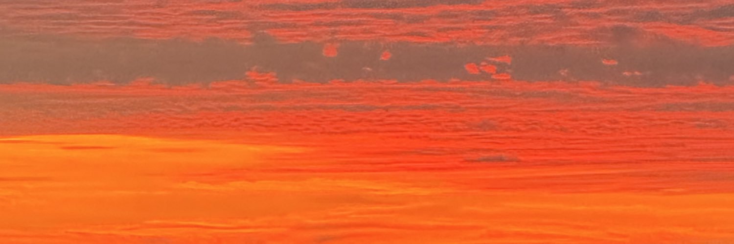 fafania2's profile banner image