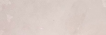 stellaGoddr9's profile banner image