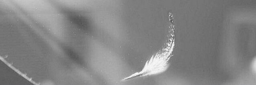 tuok346's profile banner image