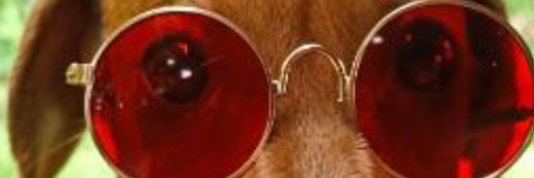 Leon Expedito banner