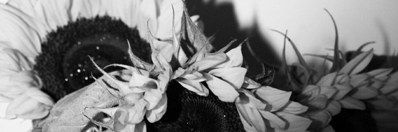carmenpt6's profile banner image