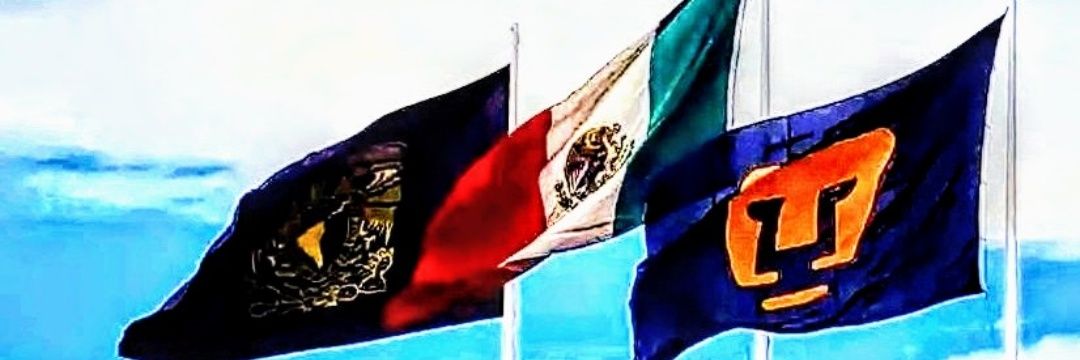 PERRO RITO's banner