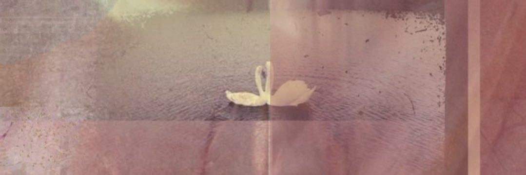 bayotchem's profile banner image