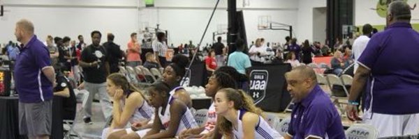 LadyPhoenixBas Profile Banner