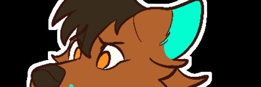 snowflake_husk's profile banner image