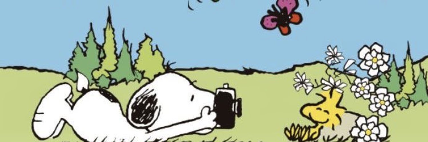 sapinho's banner
