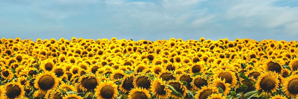 Eviteeens's profile banner image