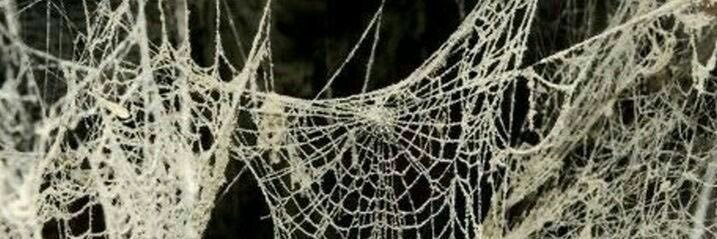 Emily_Knight16's profile banner image