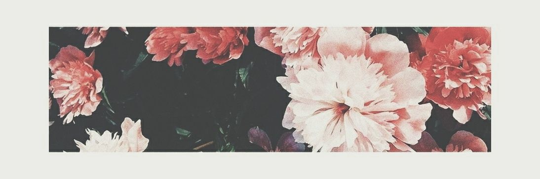 ColdyFog's profile banner image
