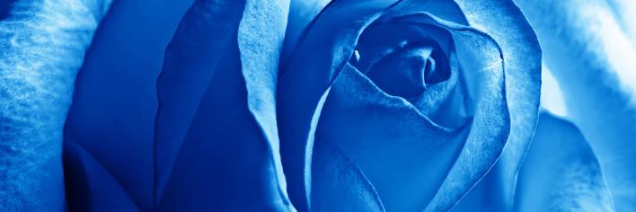 AprilOnly_'s profile banner image