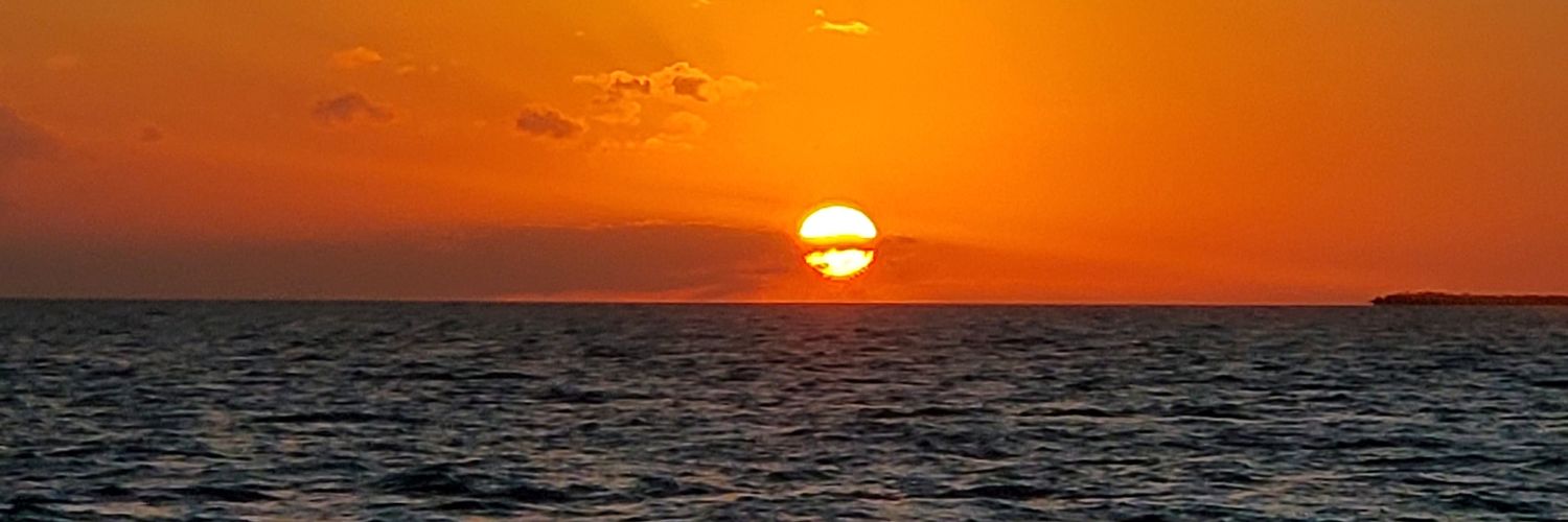 tracypearce's profile banner image