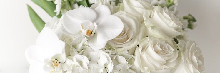 Adanna Mgbojikwe-Loto banner