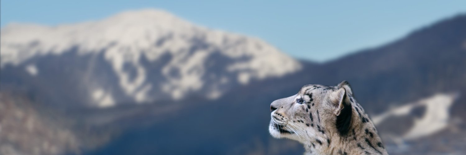 Ｃａｔｍａｘｘｅｒ's banner