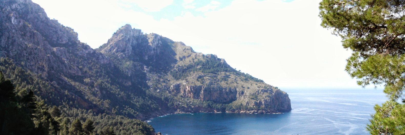 Sabrina Winter | @winter-s.bsky.social banner