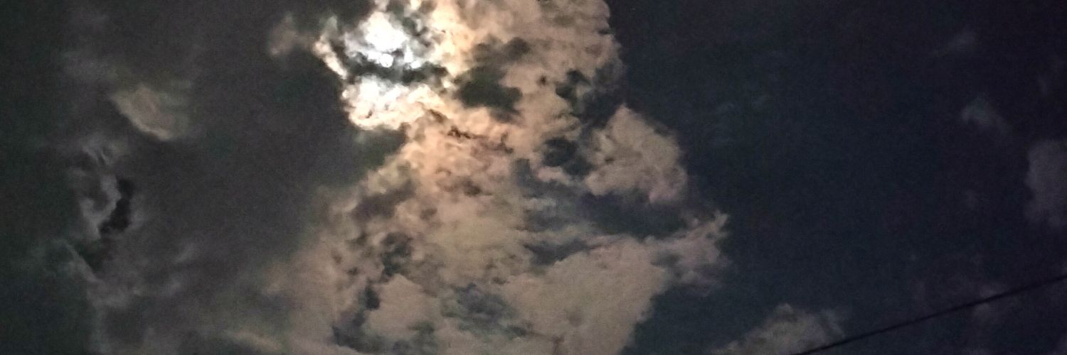 prisho__'s profile banner image