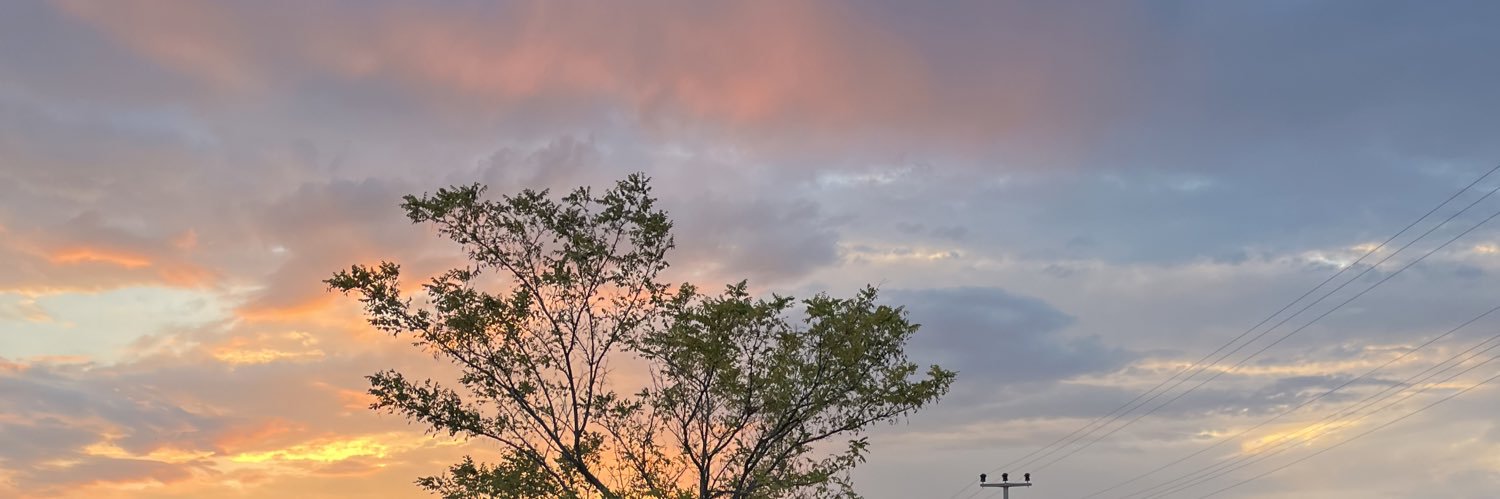 aliyarar16's profile banner image