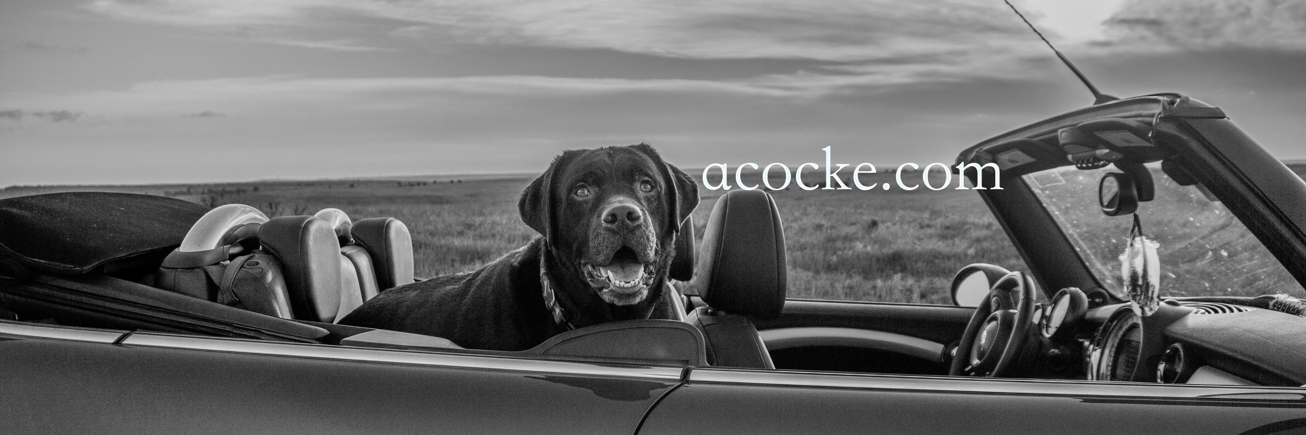 acocke's profile banner image
