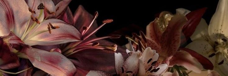 haiRianaaa's profile banner image