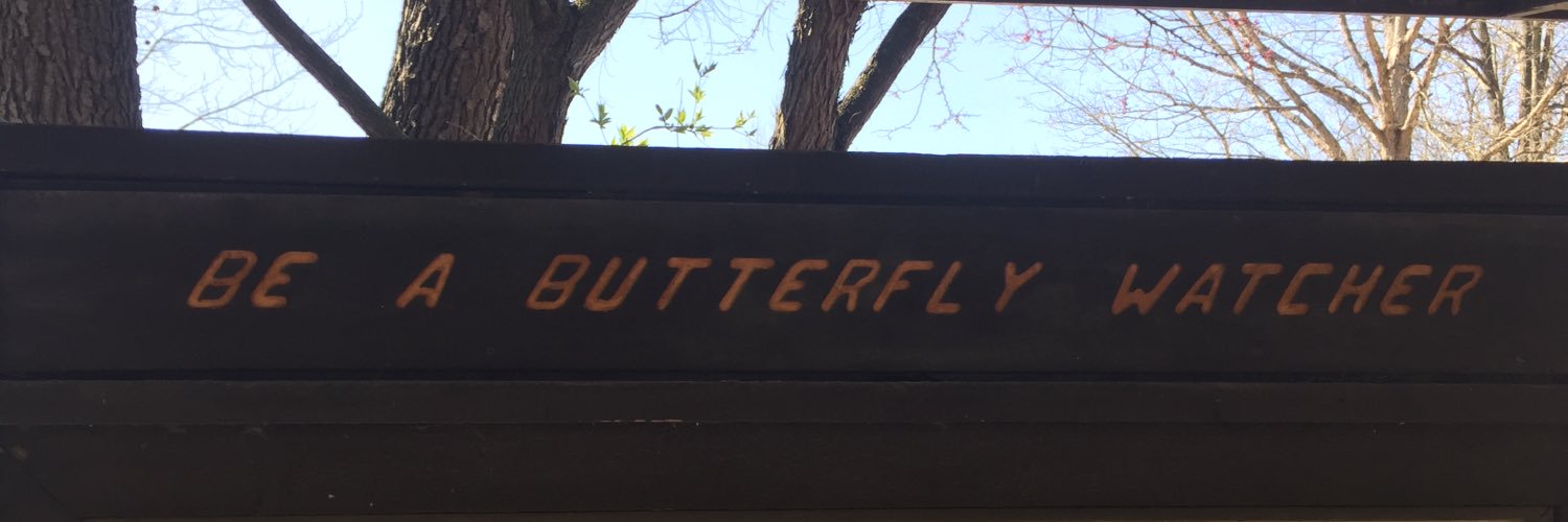 katiecallaway7's profile banner image