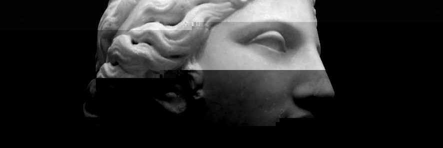 R. Angermuller banner