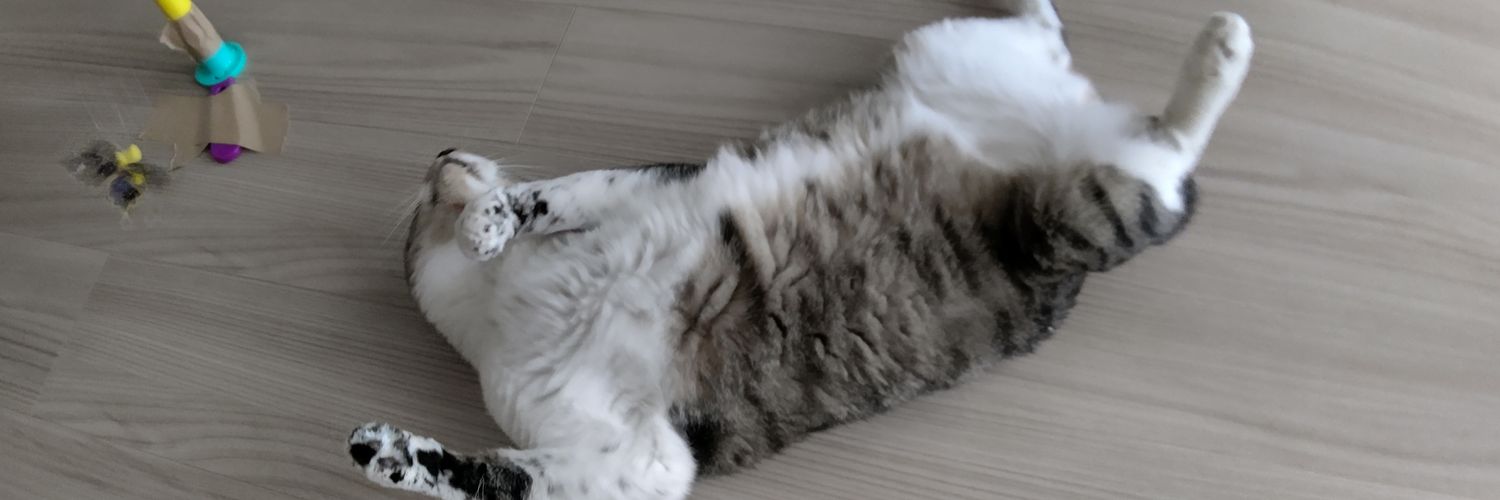 subsav24's profile banner image
