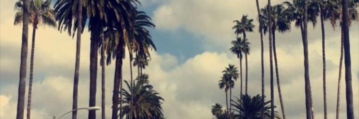 CATHERI34157236's profile banner image